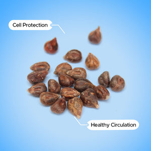 Grape Seed Extract