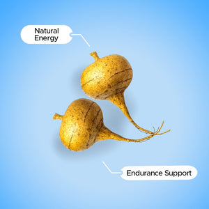 Maca Root