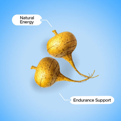 Maca Root